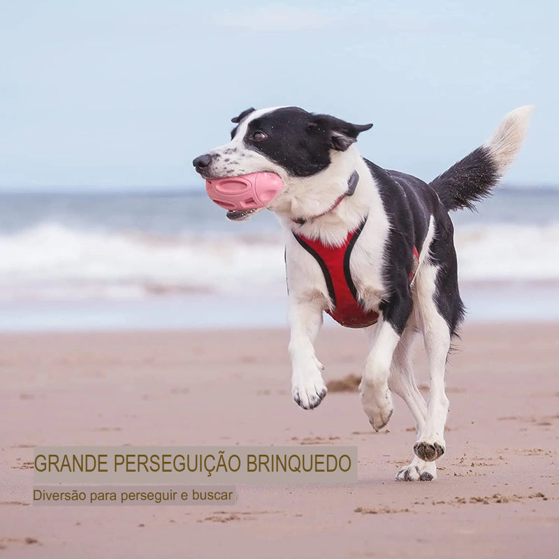 Brinquedo Bola Para Cachorro