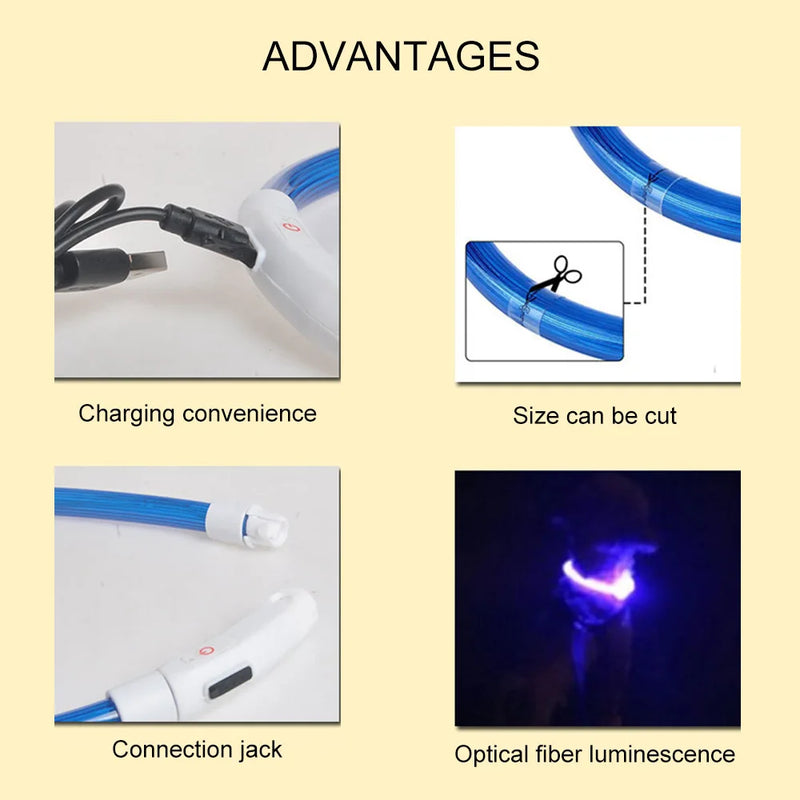 Coleira De Luz LED Para Caminhada Noturna