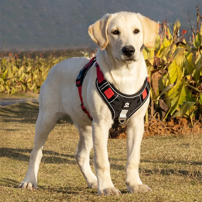 Arnês - Peitoral Antipuxão para Cachorros