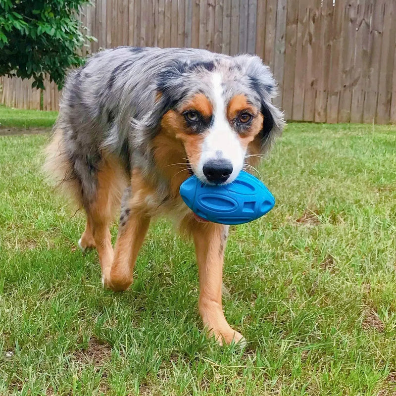 Brinquedo Bola Para Cachorro