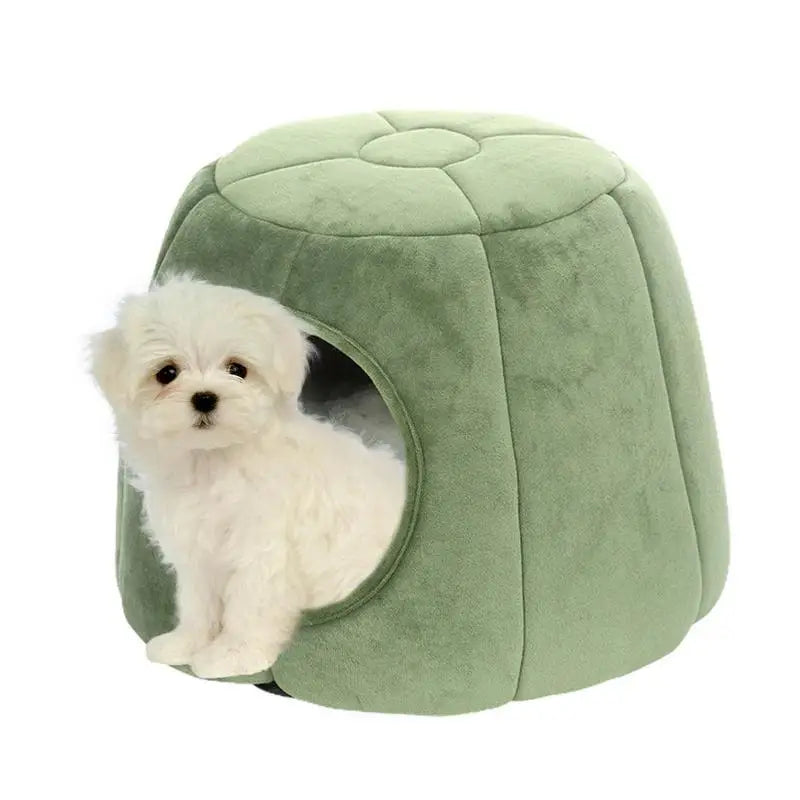 Casa & Cama Confort - Para Pets de pequeno porte